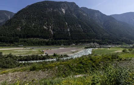 Lotto di costruzione Sottoattraversamento Isarco: nell'ambito del processo di rinaturazione, vengono piantate circa 50000 piante